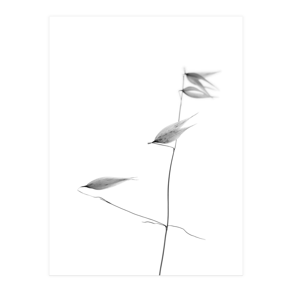 In light of current events IV (Print Only)