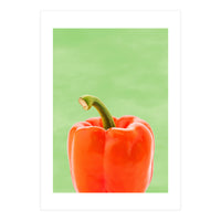 Red Bell Pepper, Fresh Kitchen Art, Capsicum Chilli (Print Only)