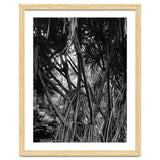 Black Tectorius Plant Art thumbnail