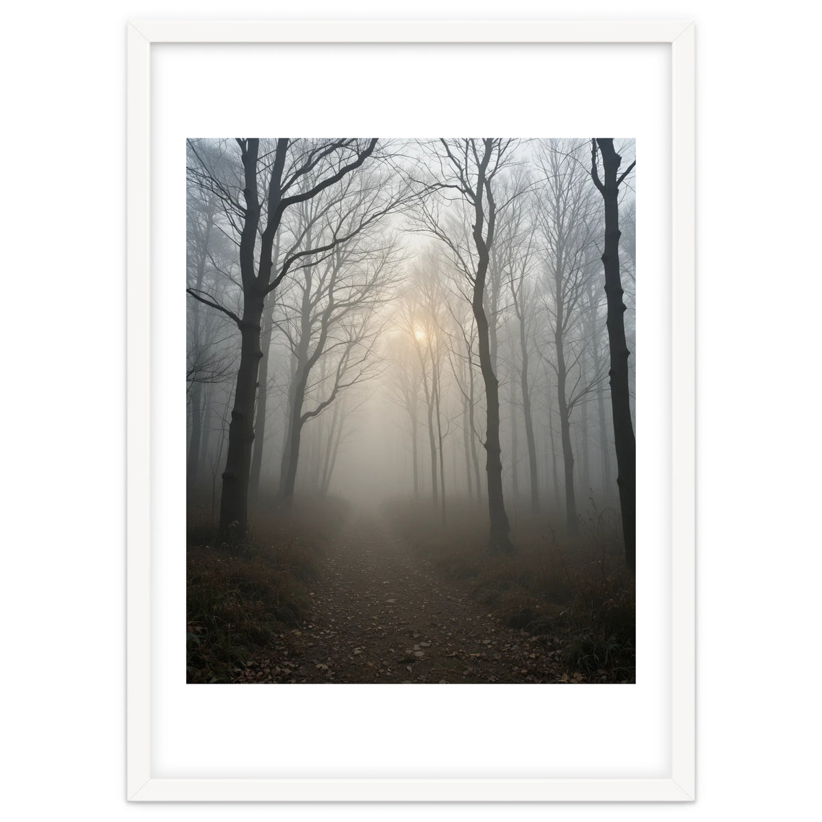 Ethereal Morning Light Breaking Through Dense Forest Fog