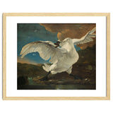The Threatened Swan. The Threatened Swan; Interpreted later as an Allegory on Johan de Witt. Dati... thumbnail