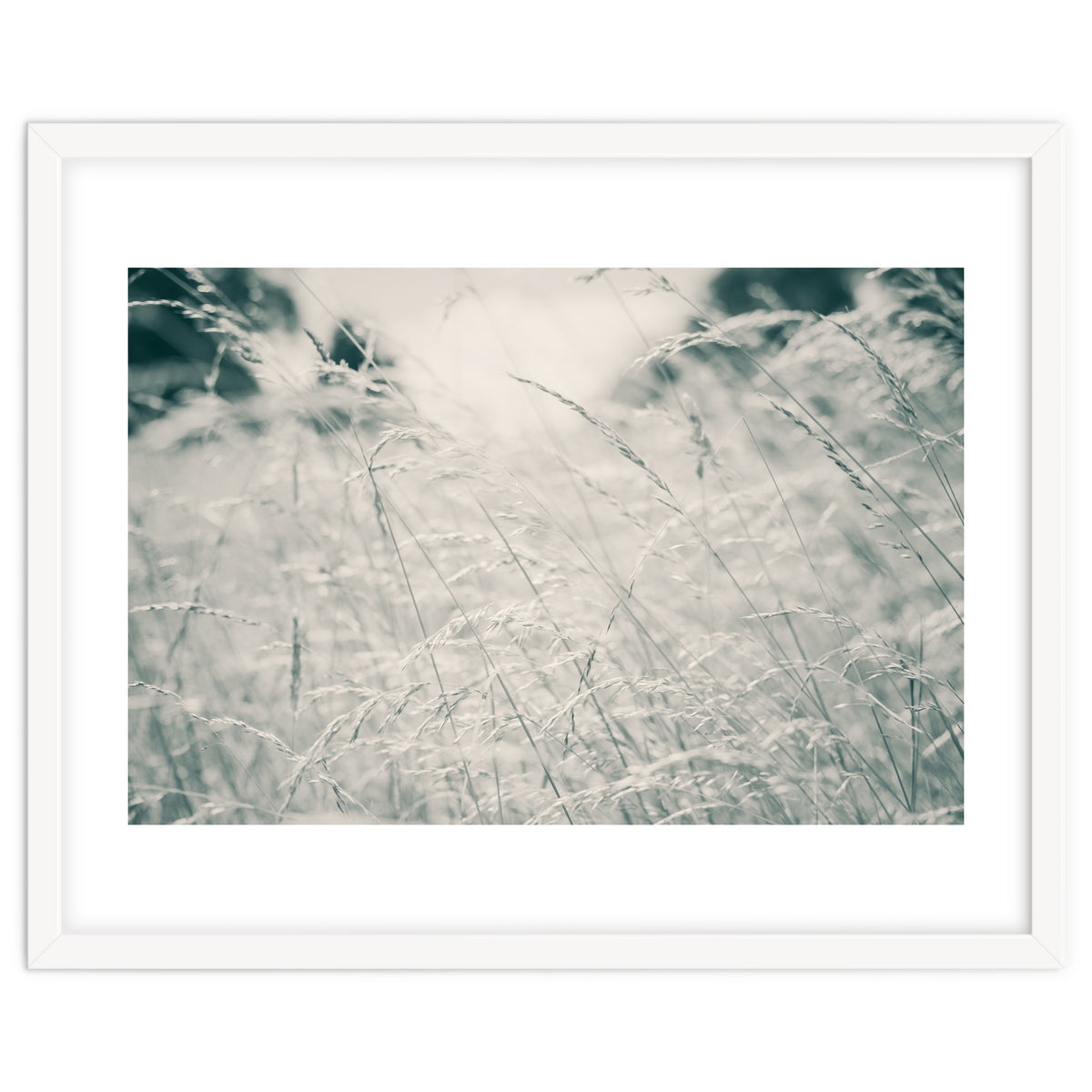 Walking Through Long Grass