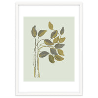 Olivia muted botanical oils