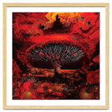Socotra Dragon Blood tree thumbnail