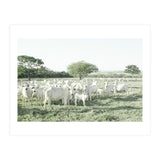 LIVING TOGETHER - WHITE COWS FAMILY (Print Only) thumbnail