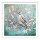 Bird Vintage Nostalgia thumbnail