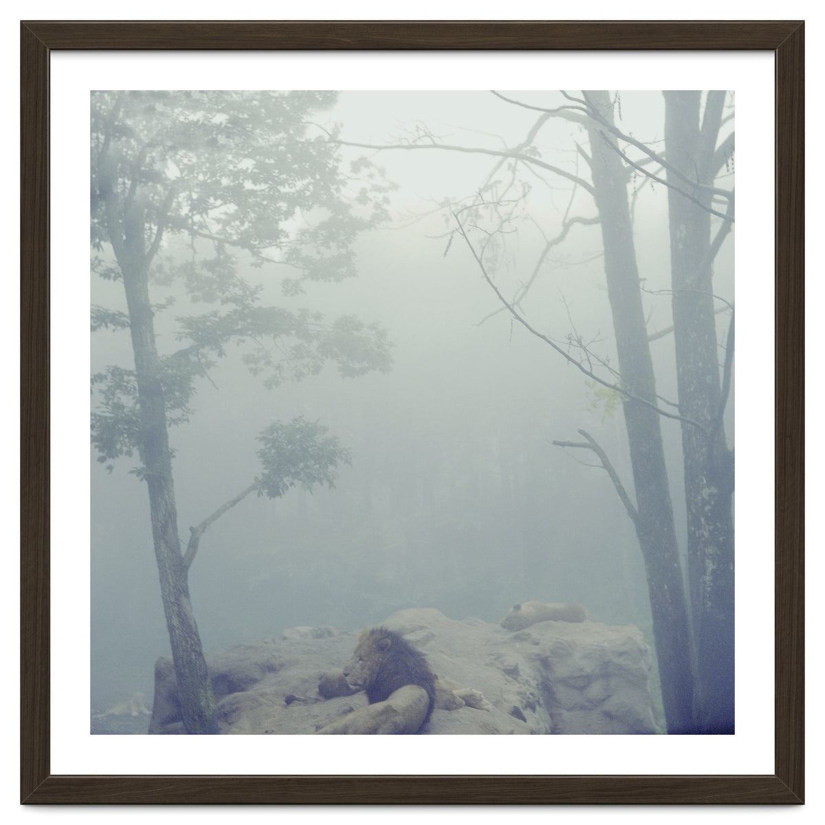 Silence of breath - 02