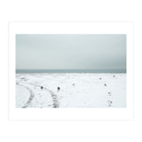 Seagulls in the winter snow beach (Print Only) thumbnail