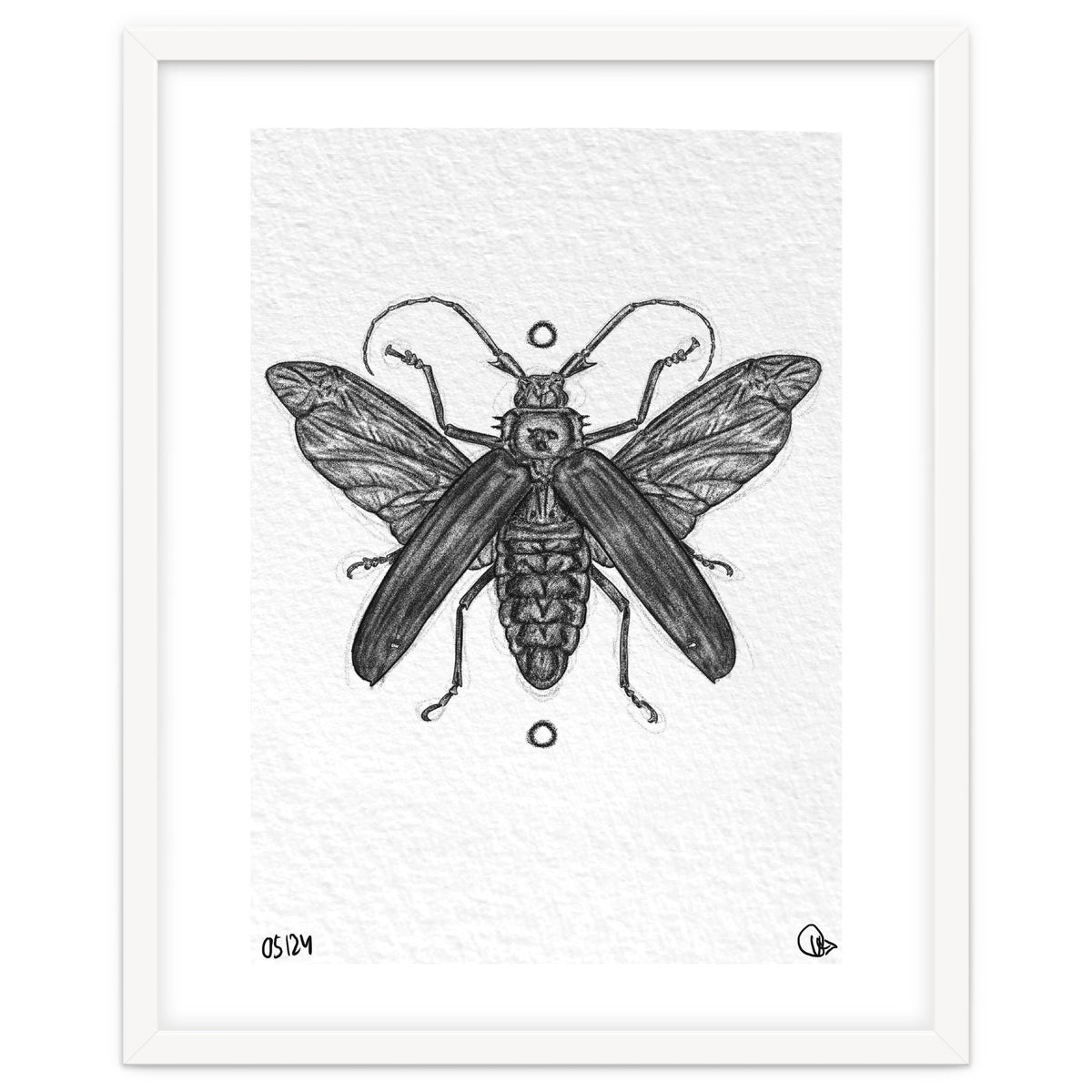 Riesen Longhorn Käfer