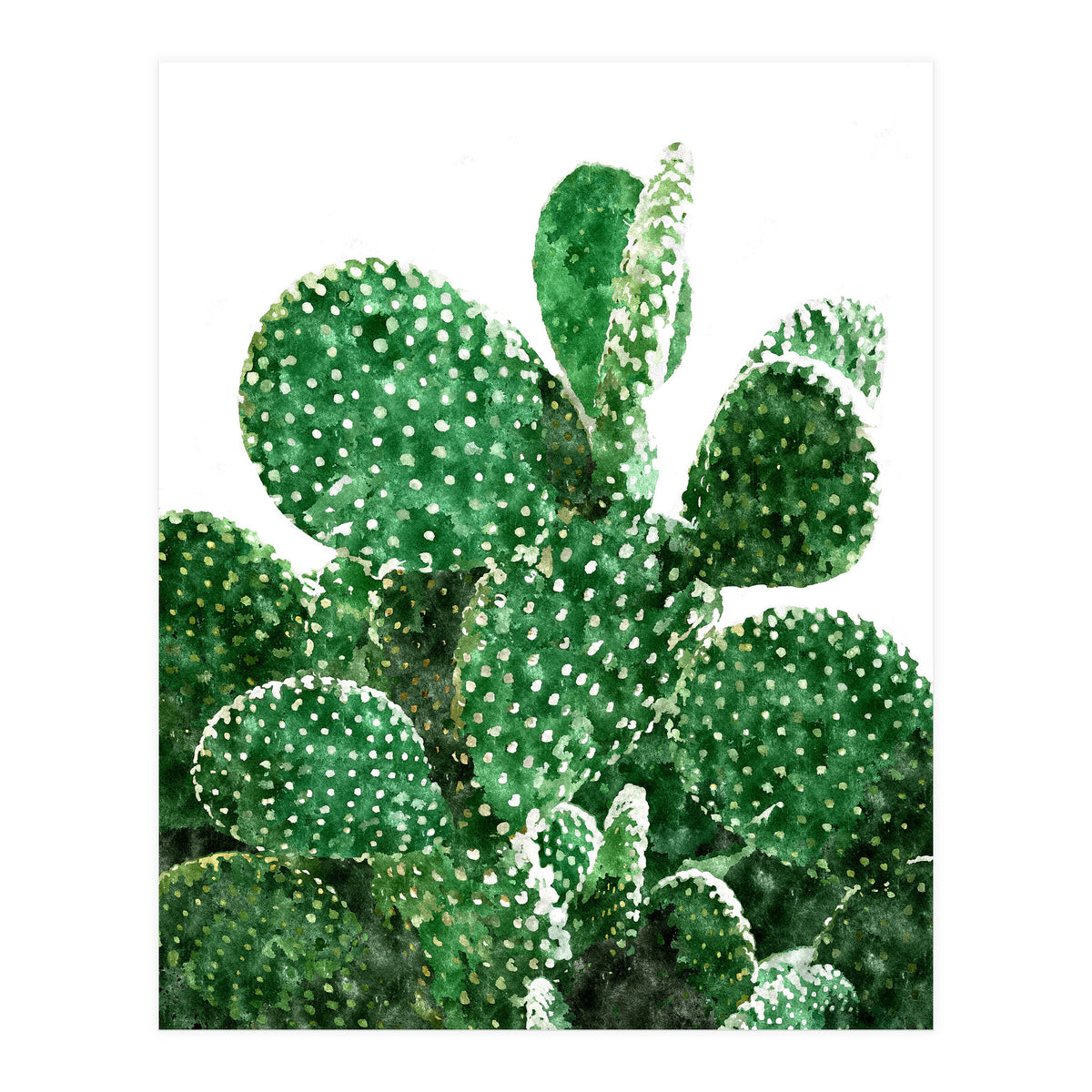 Velvet Cactus | Watercolor Botanical Plants | Minimal Boho Scandinavian Painting (Print Only)