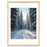 Serene Winter Wonderland Forest Road thumbnail