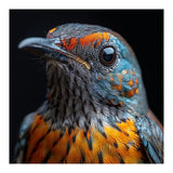 Close Up Of A Colorful Exotic Bird Head (Print Only) thumbnail