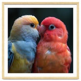 Two Lovebirds Nuzzling Close Up Portrait thumbnail