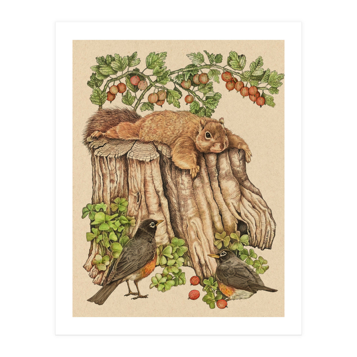 Splootingcolor (Print Only)