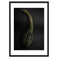 Gourds No 9 Color Version