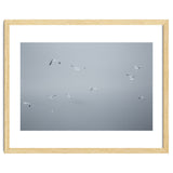 Flying seagulls in the winter sky thumbnail