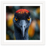 Close Up Of A Strikingly Beautiful Bird Face thumbnail