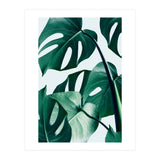 Monstera Tropical Photography Digital Art, Minimal Nature Jungle Botanical Leaves (Print Only) thumbnail