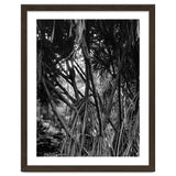Black Tectorius Plant Art thumbnail