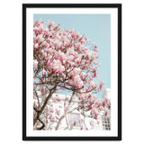 Spring Time thumbnail