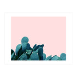 Kaktos (Print Only) thumbnail