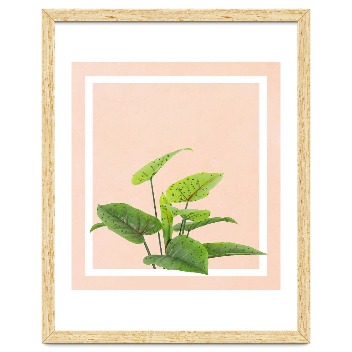 Botanical Art