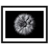 Backyard Flowers In Black And White No 10 Flow Version thumbnail