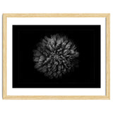 Backyard Flowers In Black And White No 68 with Border thumbnail