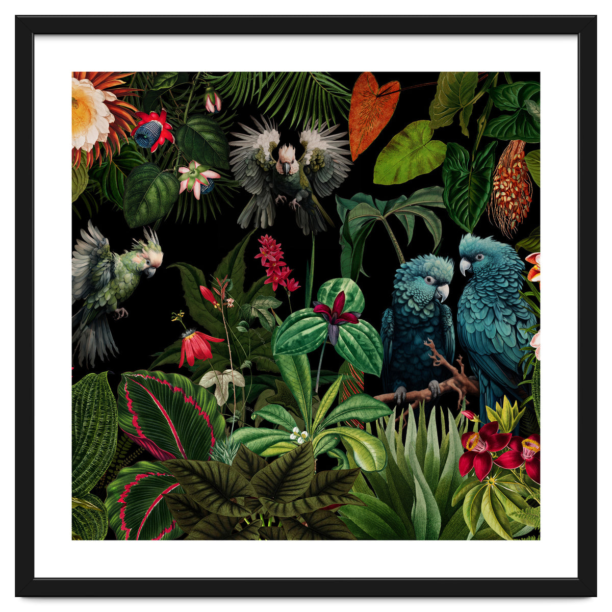 Moody Botanical Midnight Jungle Birds