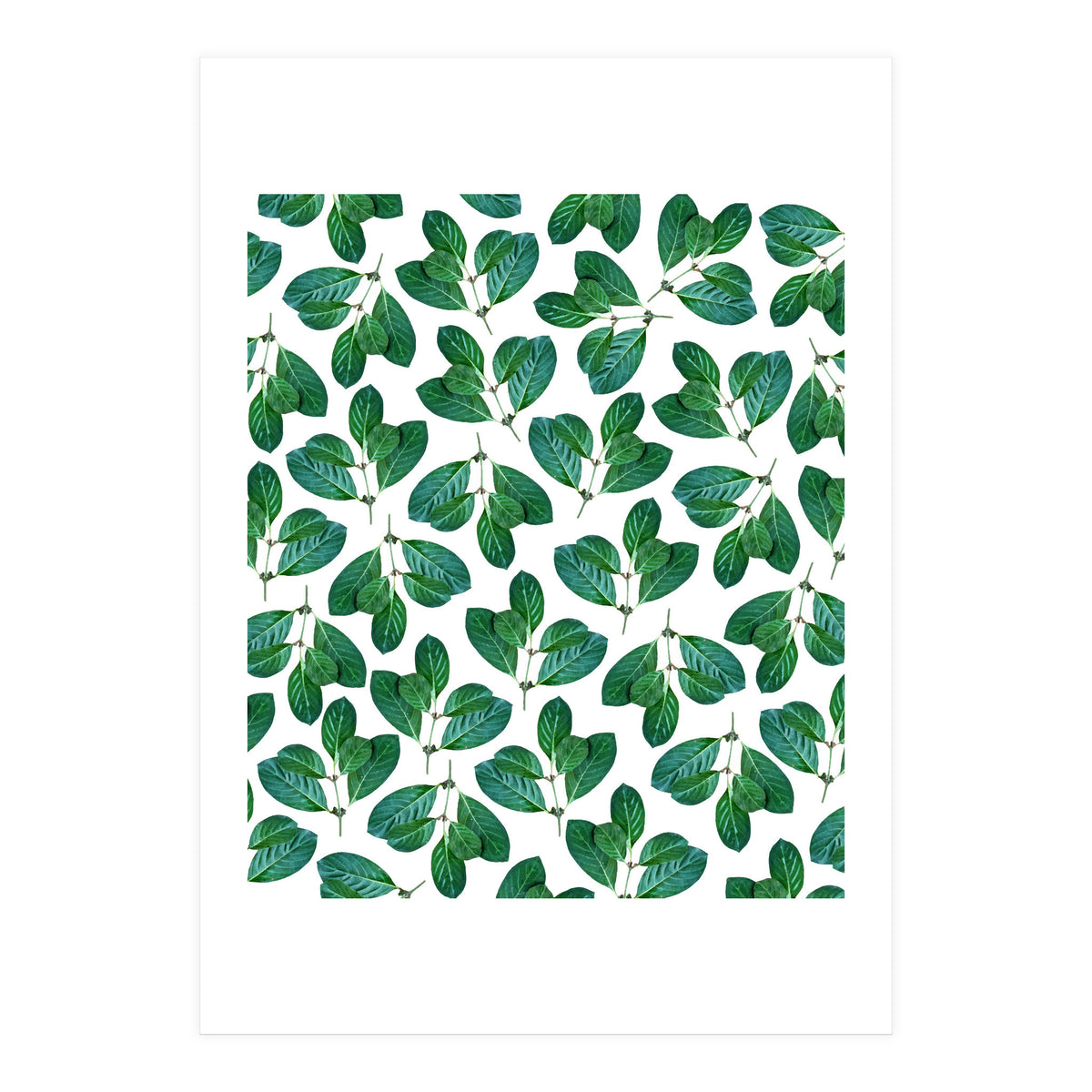 Lemon Leaf (Print Only)