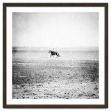 Sea Horse thumbnail
