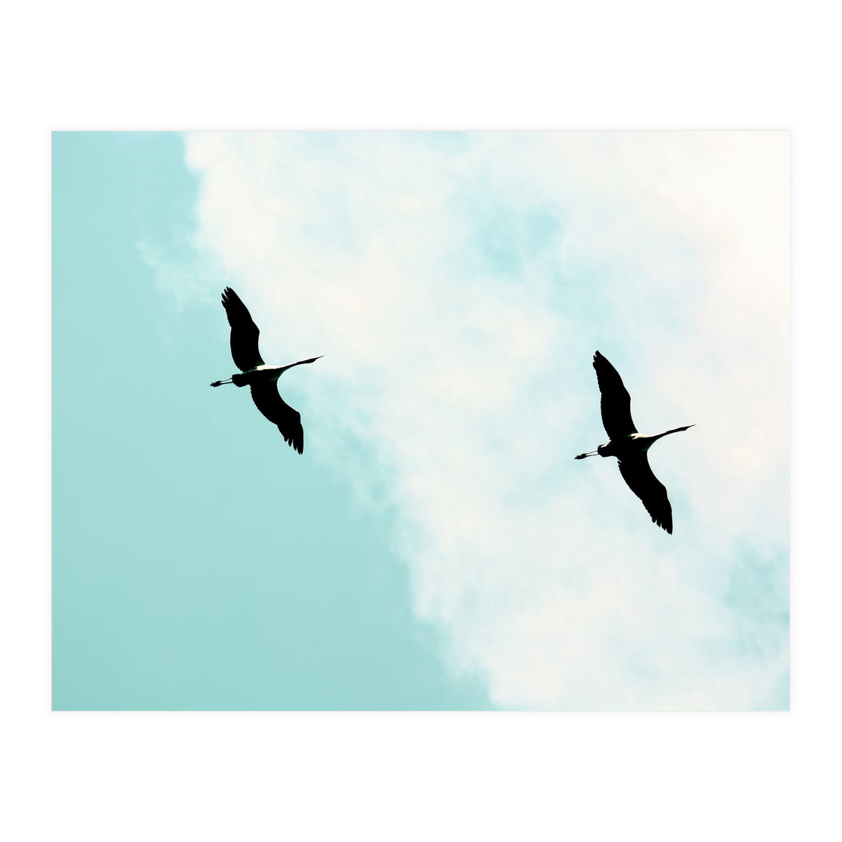 Crane(s) V (Print Only)