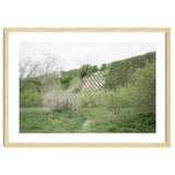 Green grass wall thumbnail