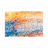 The Bright Side (Print Only) thumbnail
