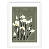 Flower Market Stockholm  Snowdrop thumbnail