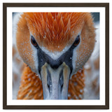 Close Up Of A Pelican's Beak With Water Droplets thumbnail
