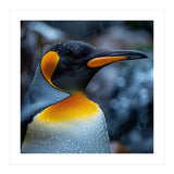 Close Up Of King Penguin In The Rain (Print Only) thumbnail