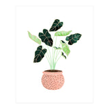 Home Plant | Ceramic Botanical Planter Illustration | Minimal Bohemian Watercolor Painting Polka Dot (Print Only) thumbnail