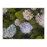 Hydrangeas | Landscape (Print Only) thumbnail