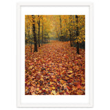 Ethereal Autumn Forest Path thumbnail