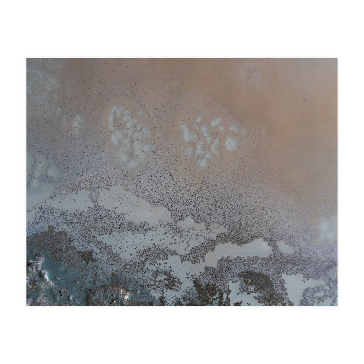 Edge Of Life (Print Only)