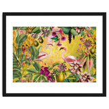 Flamingo Island thumbnail