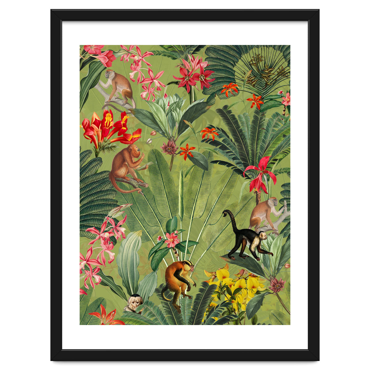 Monkeys In Tropical Jungle Paradise