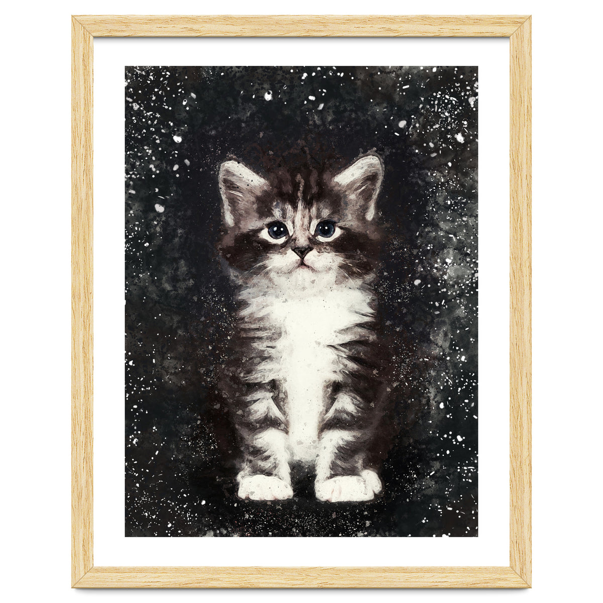 Bicolor Cute Kitten Portrait