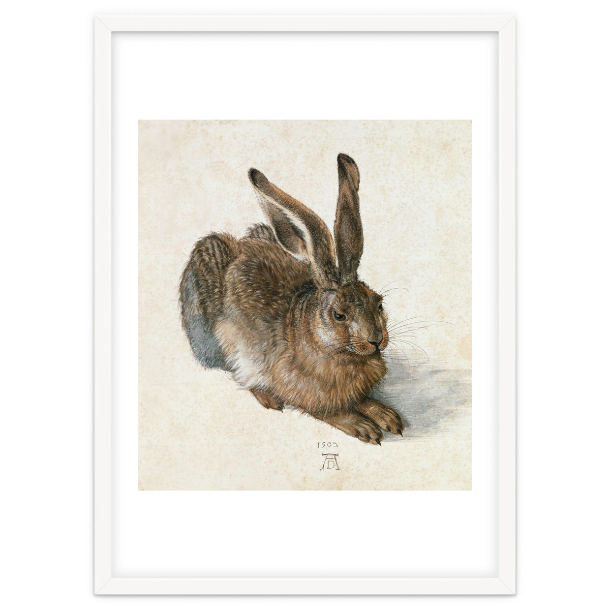 Hare-Hase. Watercolour.