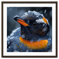 Close Up Penguin In Snow With Water Droplets