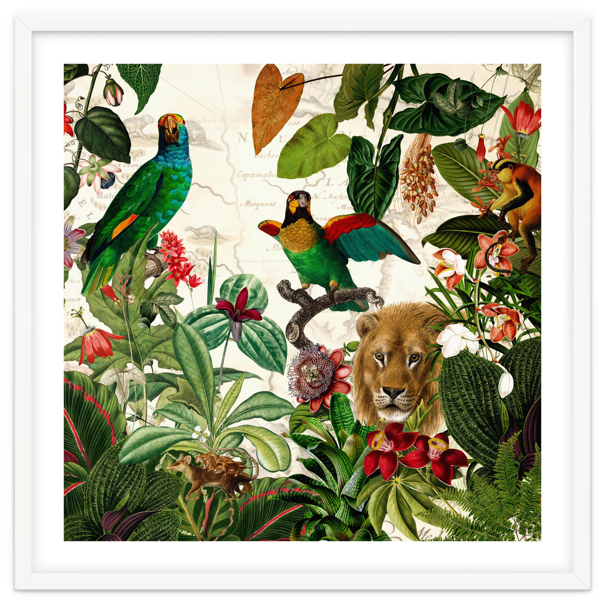 Exotic Lush Jungle And Wild Animals Landscape