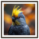 Close-up Portrait of a Yellow Cockatoo in the Wild. thumbnail
