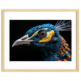 Close Up Of A Peacock Bird Head Eye thumbnail