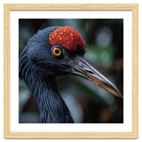 Black Crane Bird Head With Red Crown And Raindrops thumbnail